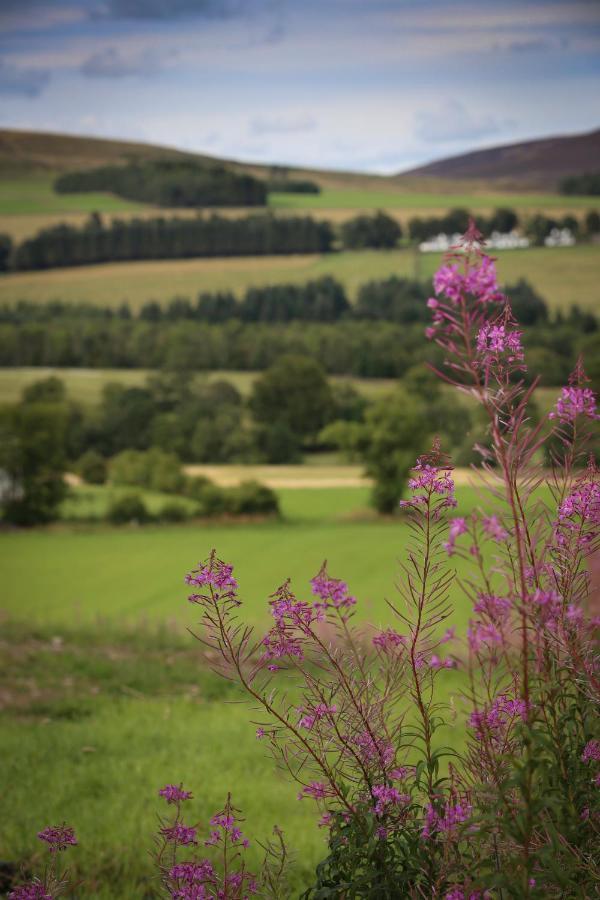 Clova Pod, Kilry Eco Pods Hotel Blairgowrie and Rattray Kültér fotó